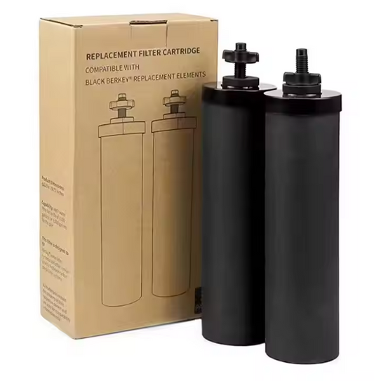 AquaGlass Carbon Filters (Set van 2)